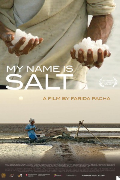 Caratula, cartel, poster o portada de My Name is Salt