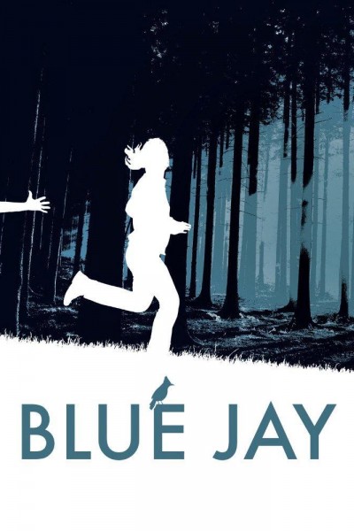 Caratula, cartel, poster o portada de Blue Jay