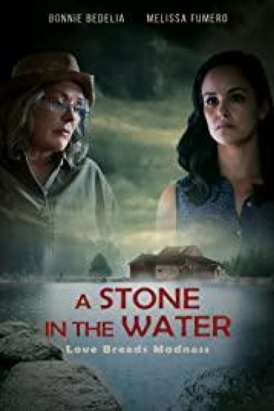 Cubierta de A Stone in the Water