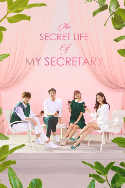Caratula, cartel, poster o portada de La vida secreta de mi secretaria