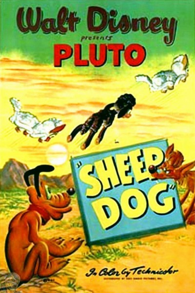 Caratula, cartel, poster o portada de Pluto: Sheep Dog