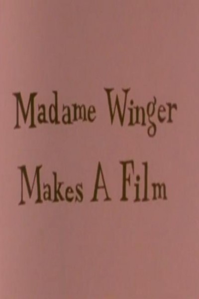 Cubierta de Madame Winger Makes a Film: A Survival Guide for the 21st Century