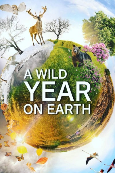 Caratula, cartel, poster o portada de A Wild Year on Earth