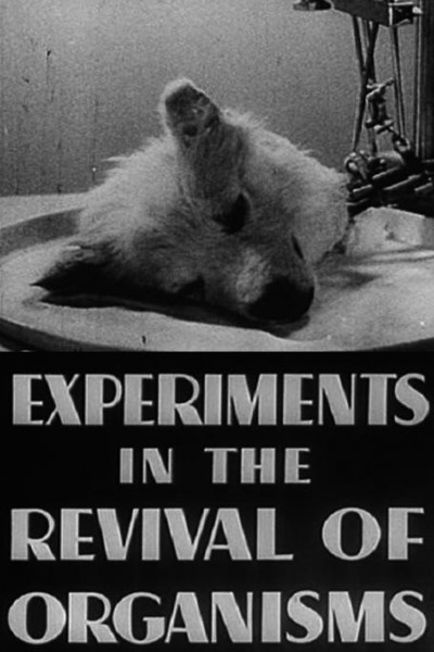 Cubierta de Experiments in the Revival of Organisms