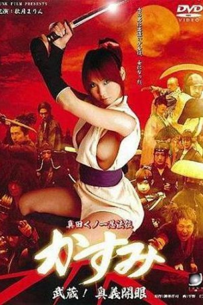 Cubierta de Lady Ninja Kasumi, Vol. 3: Secret Skills