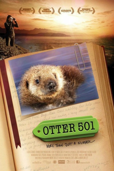 Cubierta de Otter 501