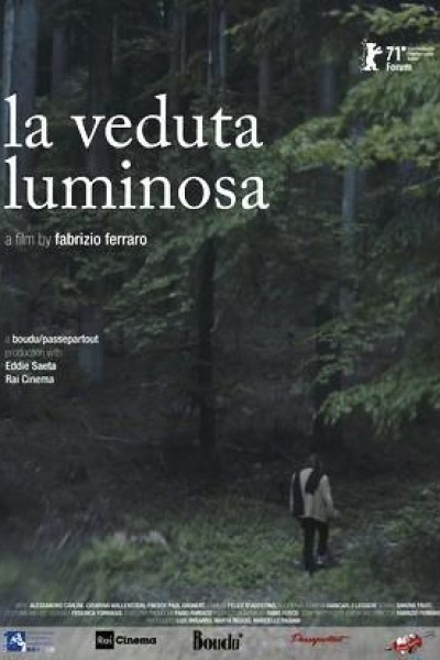 Caratula, cartel, poster o portada de La veduta luminosa
