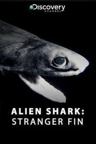 Caratula, cartel, poster o portada de Alien Sharks: Stranger Fins