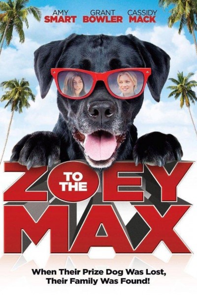 Caratula, cartel, poster o portada de Zoey to the Max