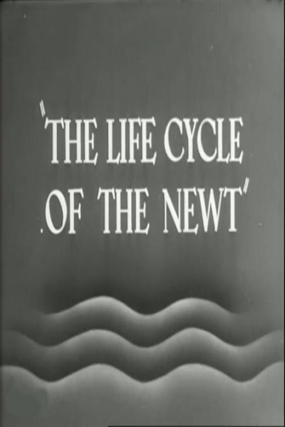 Cubierta de The Life Cycle of the Newt