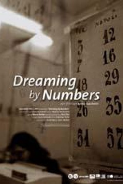 Cubierta de Dreaming by Numbers
