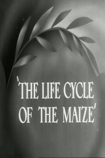 Cubierta de The Life Cycle of the Maize