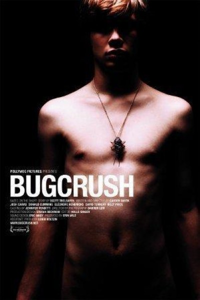 Caratula, cartel, poster o portada de Bugcrush