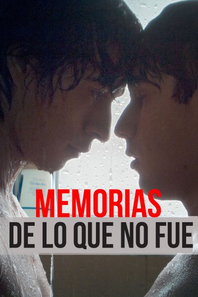 Caratula, cartel, poster o portada de Memorias de lo que no fue