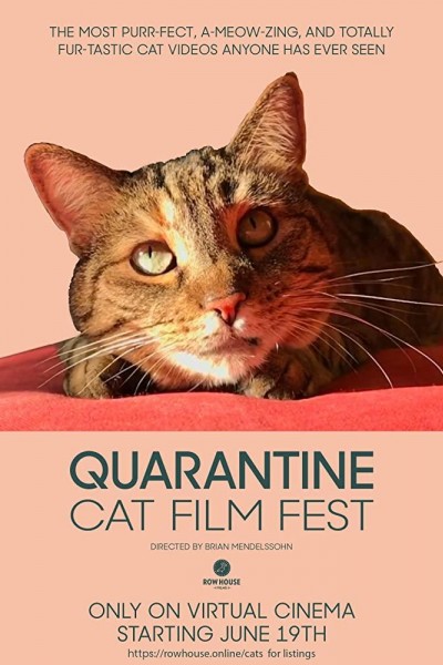 Caratula, cartel, poster o portada de Quarantine Cat Film Fest