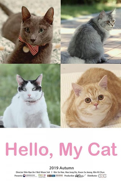 Caratula, cartel, poster o portada de Hello, My Cat