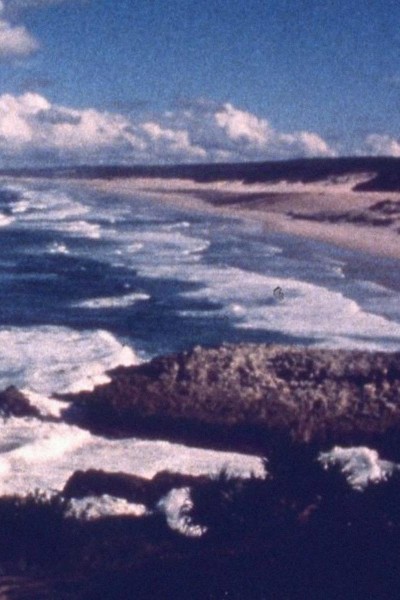 Cubierta de Ocean at Point Lookout