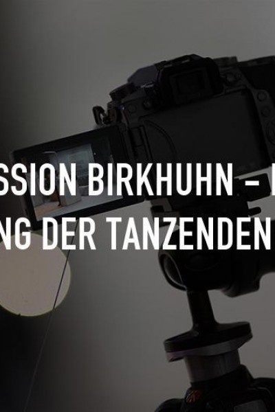 Cubierta de Mission Birkhuhn: Die Rettung der tanzenden Vögel