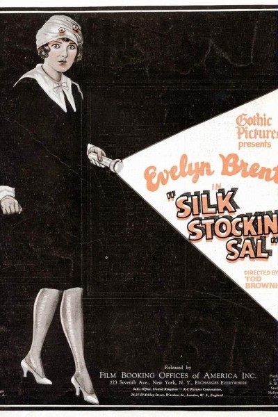 Cubierta de Silk Stocking Sal