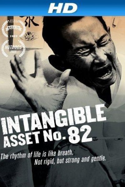 Cubierta de Intangible Asset No. 82