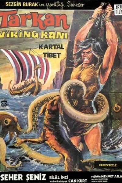 Caratula, cartel, poster o portada de Tarkan versus The Vikings