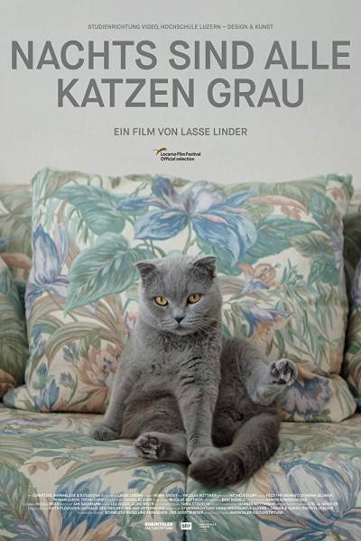 Caratula, cartel, poster o portada de All Cats Are Grey In The Dark