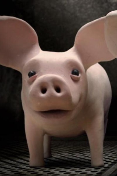Caratula, cartel, poster o portada de A Pig\'s Tail