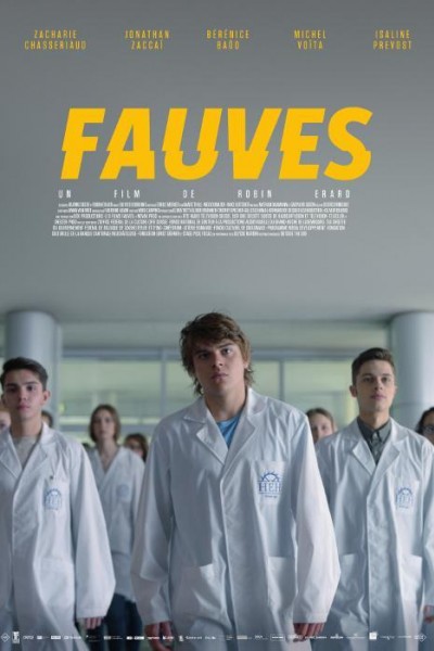 Caratula, cartel, poster o portada de Fauves