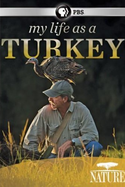 Caratula, cartel, poster o portada de My Life as a Turkey
