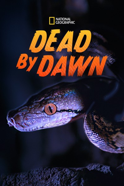 Caratula, cartel, poster o portada de Dead by Dawn