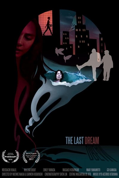 Caratula, cartel, poster o portada de The Last Dream