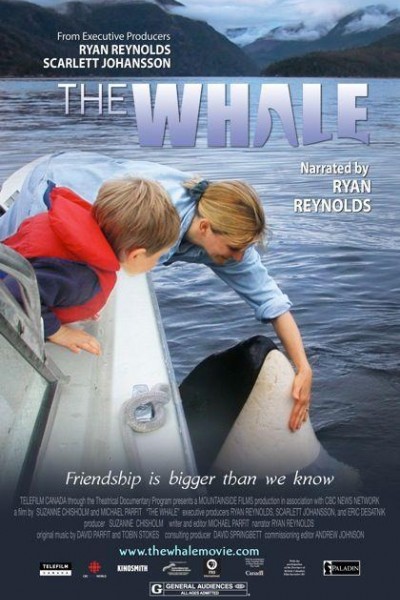 Caratula, cartel, poster o portada de The Whale