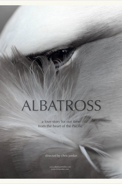 Caratula, cartel, poster o portada de Albatross