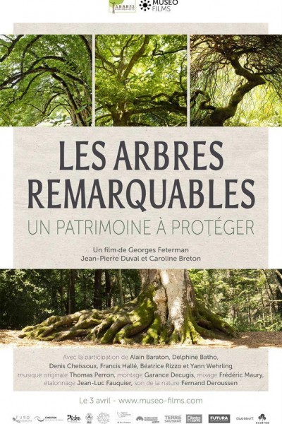 Caratula, cartel, poster o portada de Les arbres remarquables - Un patrimoine à protéger