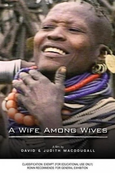 Cubierta de A Wife Among Wives