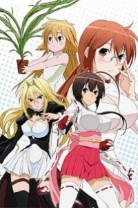 Caratula, cartel, poster o portada de Sekirei