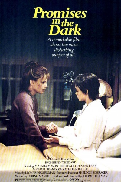 Caratula, cartel, poster o portada de Promises in the Dark