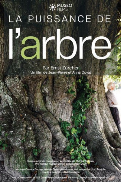 Caratula, cartel, poster o portada de La Puissance de l’arbre avec Ernst Zürcher