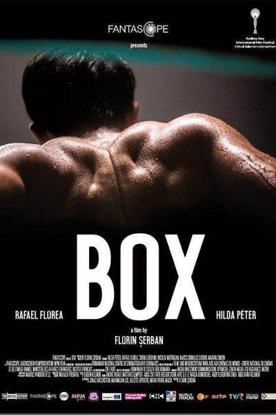 Cubierta de Box