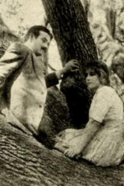 Caratula, cartel, poster o portada de The Girl of the Grove