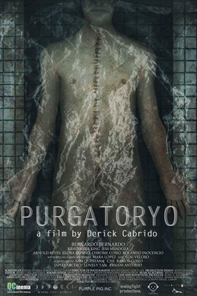 Caratula, cartel, poster o portada de Purgatoryo