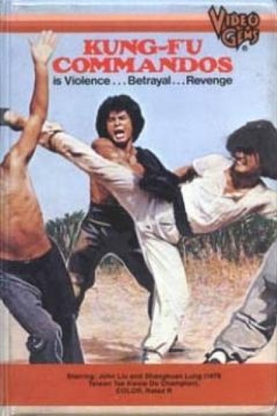 Caratula, cartel, poster o portada de La increíble misión del Kung Fu