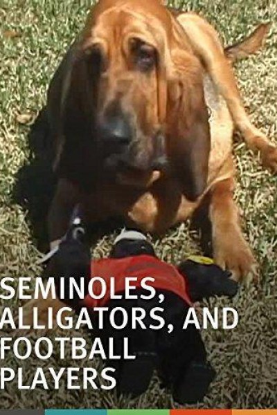 Cubierta de Seminoles, Alligators, and Football Players: A Florida Rivalry