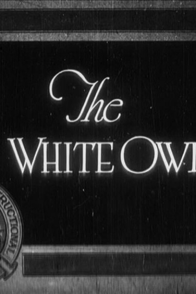 Cubierta de The White Owl