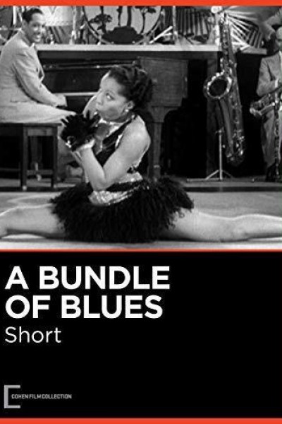 Caratula, cartel, poster o portada de A Bundle of Blues