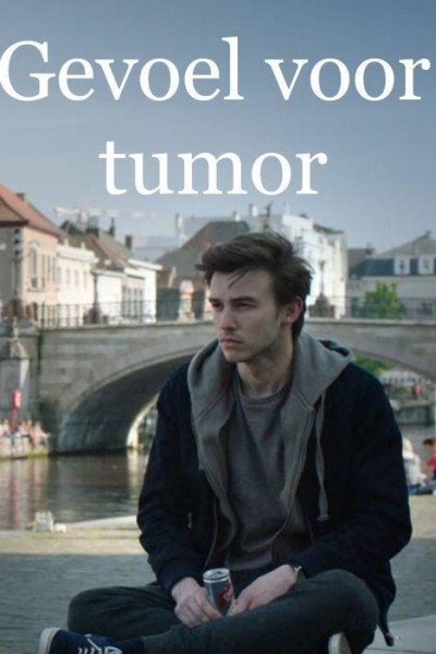 Caratula, cartel, poster o portada de Gevoel voor Tumor