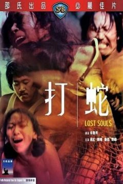 Caratula, cartel, poster o portada de Lost Souls