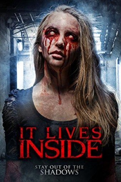 Caratula, cartel, poster o portada de It Lives Inside