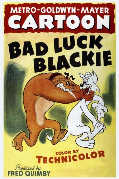 Caratula, cartel, poster o portada de Bad Luck Blackie