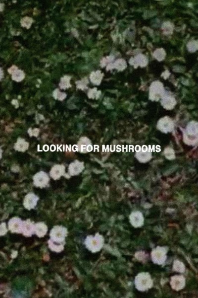 Cubierta de Looking for Mushrooms